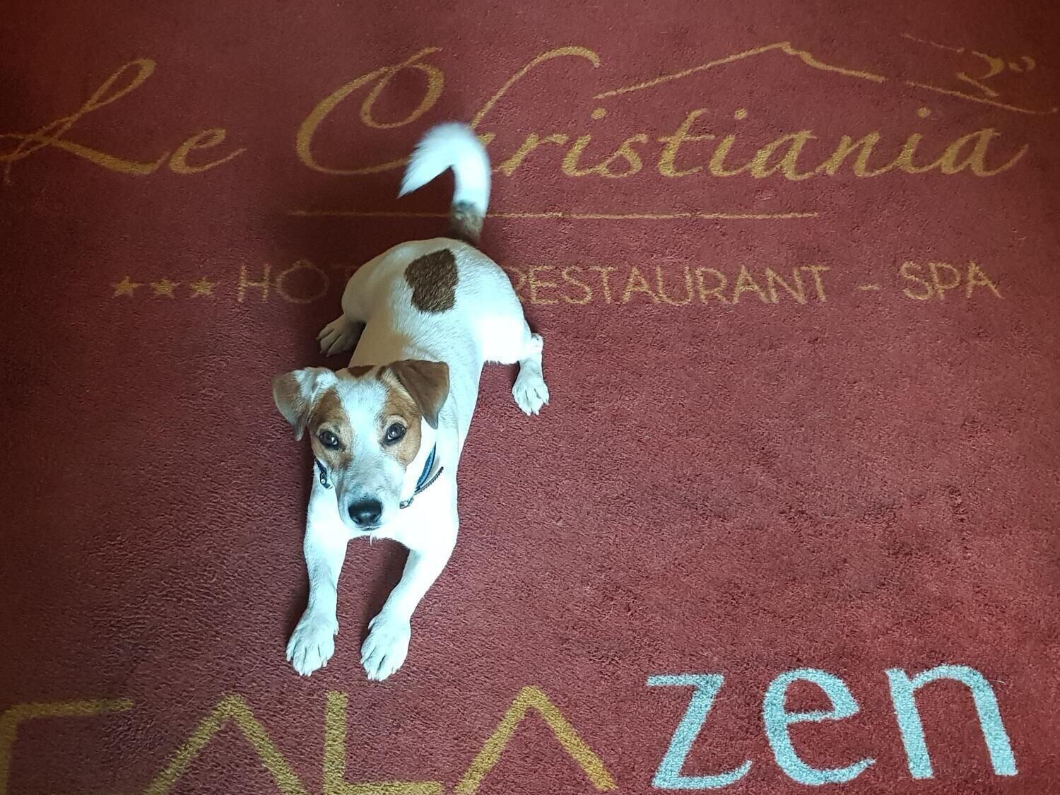 Le Christiania Hotel & Spa La Salle-les-Alpes Eksteriør billede
